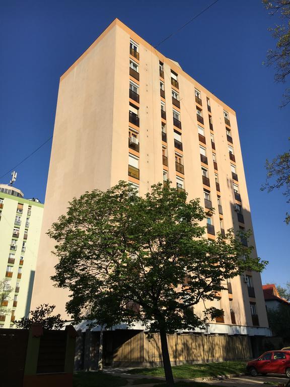 Hetedik Apartman Pécs Esterno foto